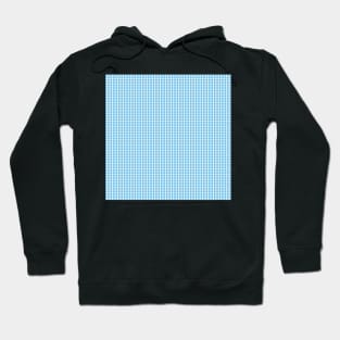 Gingham Pattern - Light Blue Hoodie